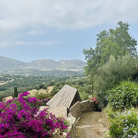Vue A Ile Rousse L'Ile-Rousse (Corsica)